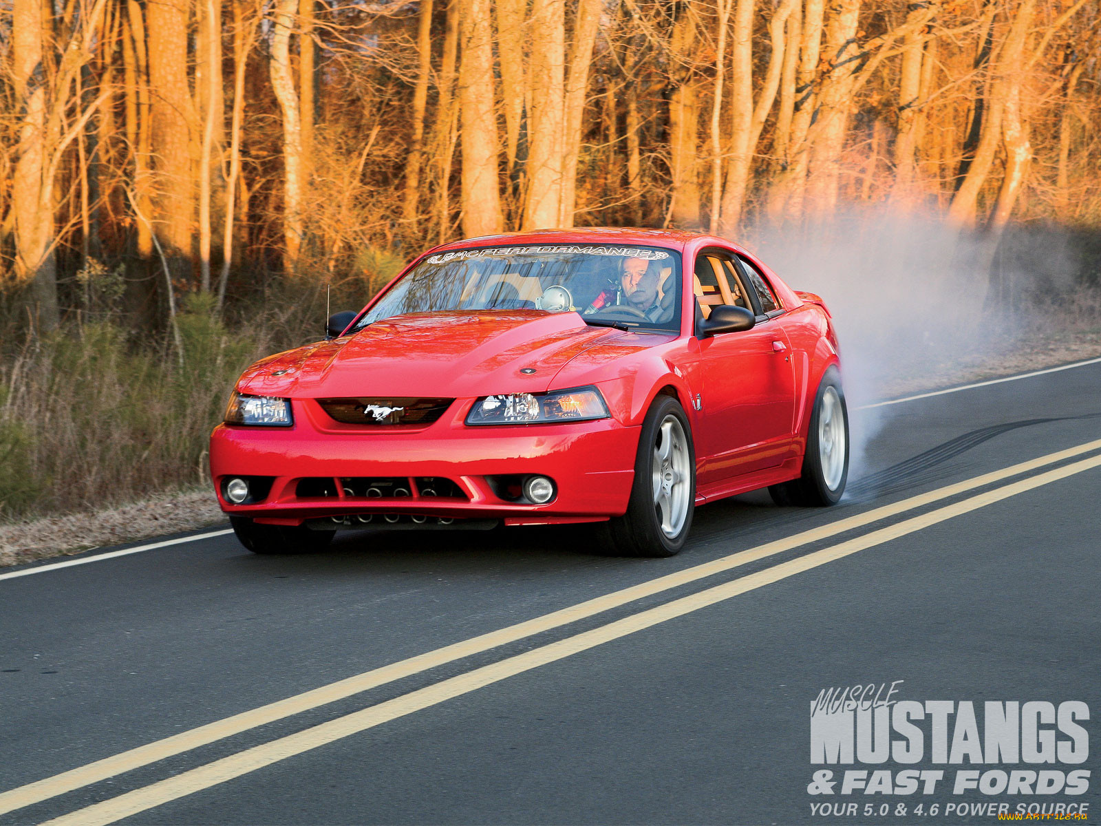 1999, steeda, cobra, , mustang